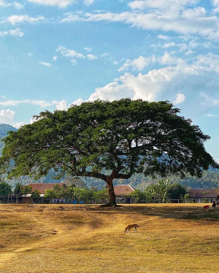 Villa Kiengkham晶康民宿 لوانغ برابانغ المظهر الخارجي الصورة